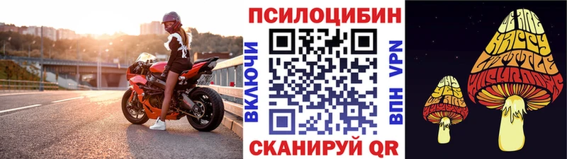 Псилоцибиновые грибы прущие грибы закладка Лысково